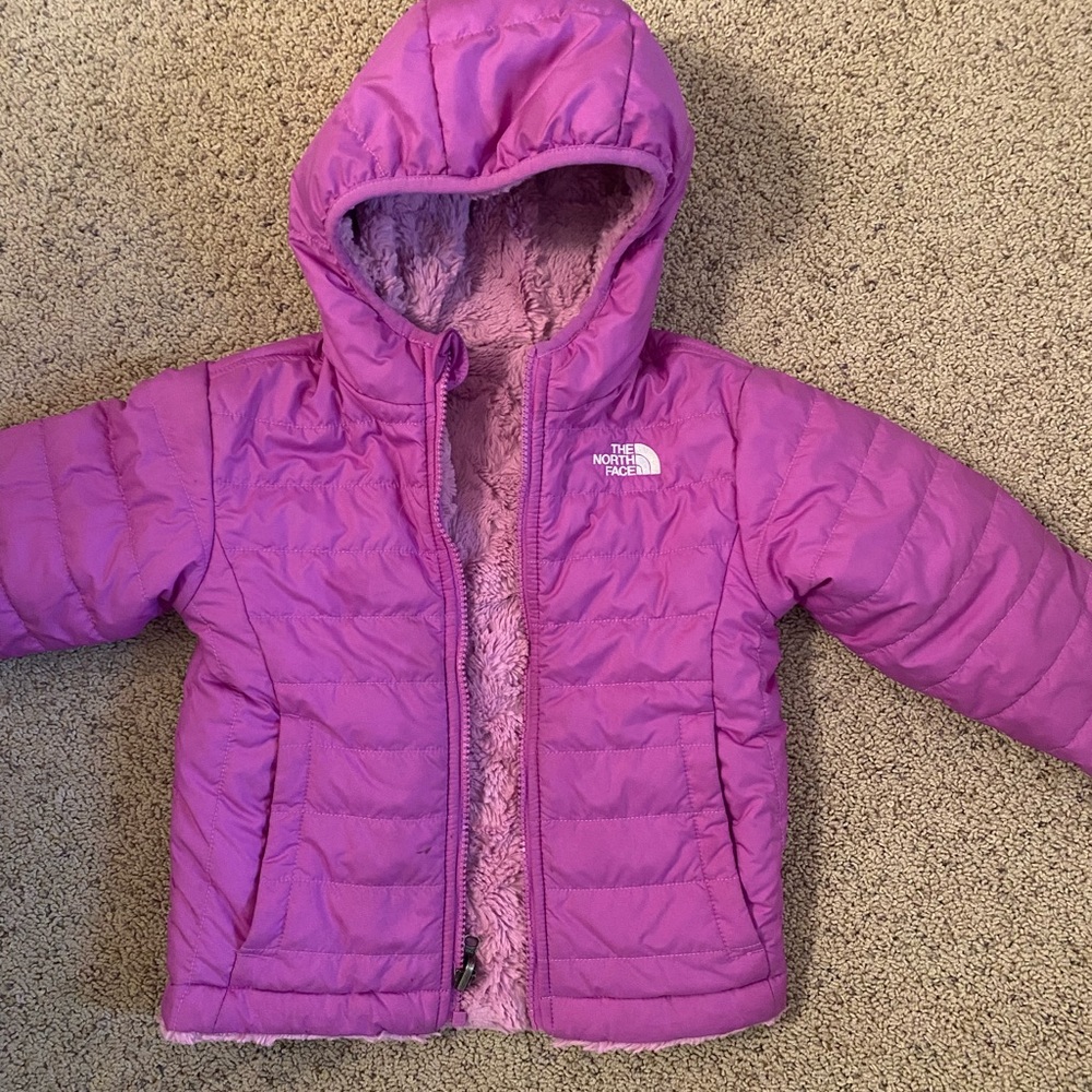 Northface mossbud swirl toddler water repellent jacket